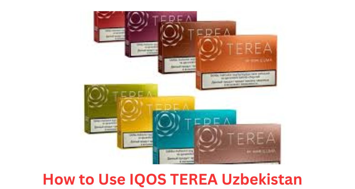 How to Use IQOS TEREA Uzbekistan